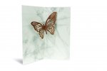 Vorschau: Doppelkarte Mariposita Schmetterling Nuss